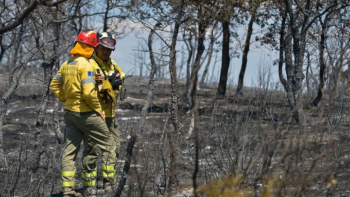 Varios bomberos en la zona afectada por el incendio forestal originado en Humanes (Guadalajara) / EFE