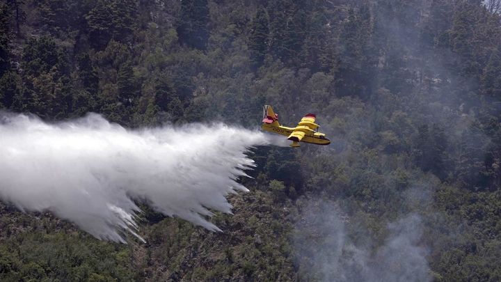Uno de los hidroaviones que participa en las labores de extinción descarga agua sobre la ladera de Tigaiga / EFE