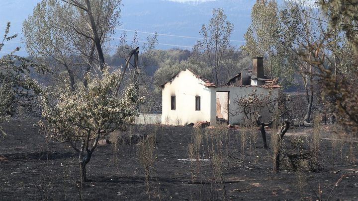 Vista de la zona de San Martín de Tábara (Zamora), afectada por el incendio forestal de Losacio / EFE