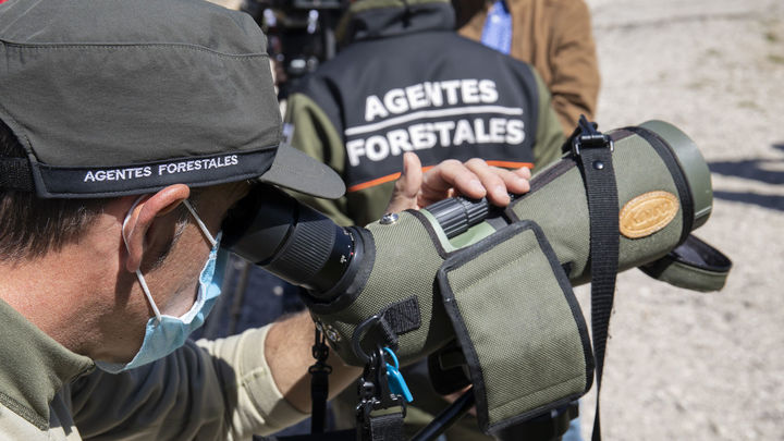 Agente forestal observa la fauna en La Pedriza / EUROPA PRESS
