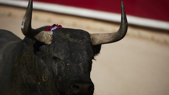 Villalbilla celebra sus fiestas 2022 / TELEMADRID