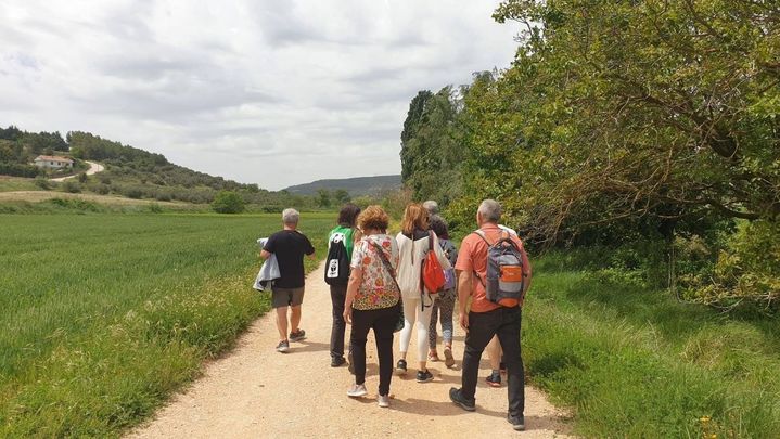 Ruta por el entorno del Valle del Tajuña / AYTO AMBITE