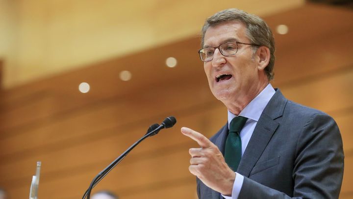 Núñez Feijóo / EFE