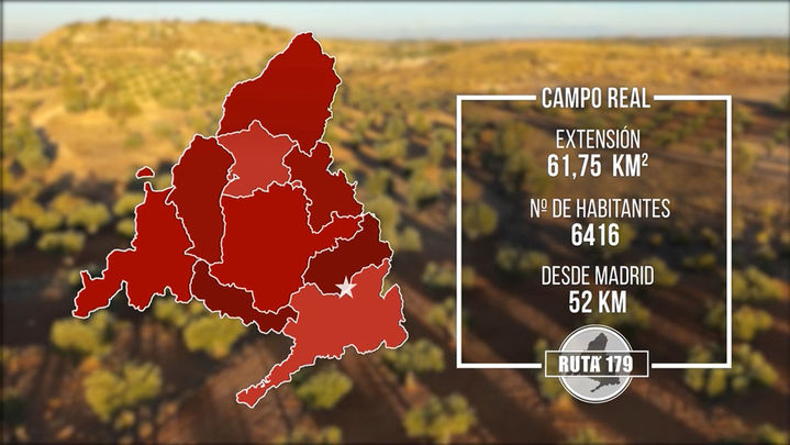 CAMPO REAL / Telemadrid