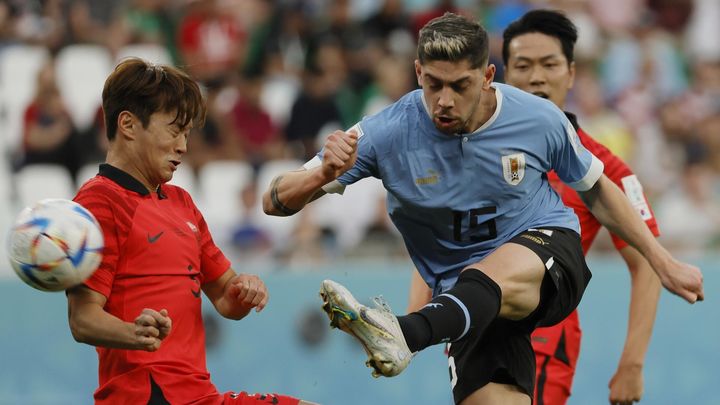 Fede Valverde ante Corea del Sur / EFE