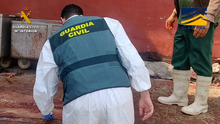Operación de la Guardia Civil contra un fraude de venta de carne equina no apta para el consumo / GUARDIA CIVIL