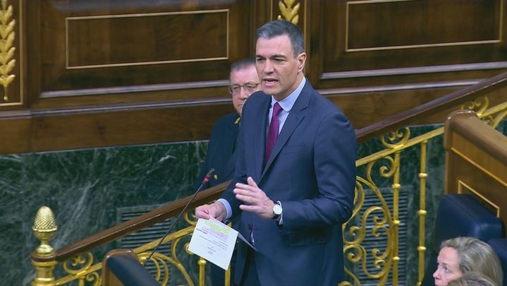 Pedro Sánchez / TELEMADRID