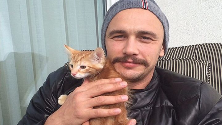 Gato de James Franco / Instagram