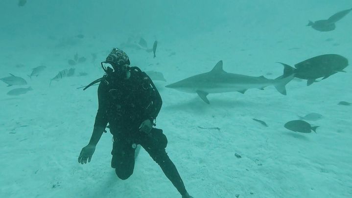 Buceo en las Maldivas / Redacción