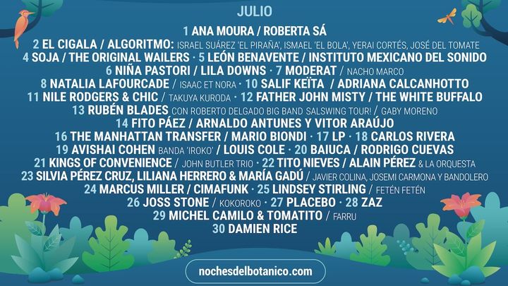 Cartel / NOCHES DEL BOTÁNICO