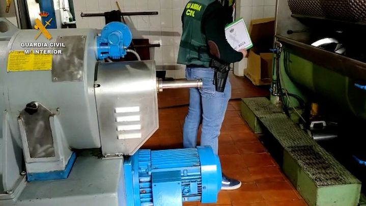 Robo de más de 8.400 kilogramos de aceitunas / Guardia Civil