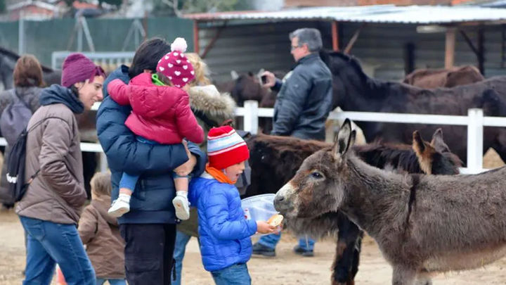 Niños dando de comer a burros en Burrolandia / BURROLANDIA