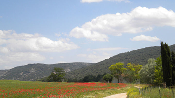 Campos de Pezuela de las Torres / AYTO PEZUELA DE LAS TORRES