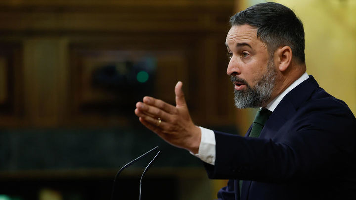 Santiago Abascal en el Congreso de los Diputados / EFE