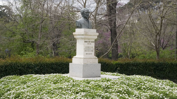 Busto de Andrés Eloy Blanco próximo al Paseo de Venezuela de El Retiro / MADRID.ES