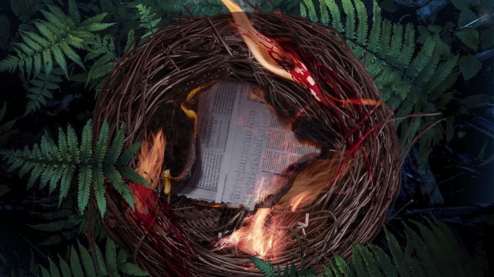 'El nido del cuco', Camilla Läckberg / MAEVA