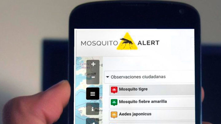 Mosquito Alert, la aplicación para informar sobre la presencia de insectos potencialmente peligrosos / ARCHIVO