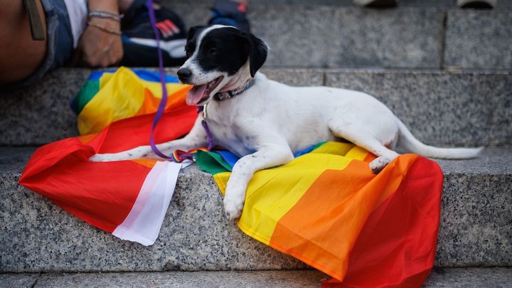 Desfile de Plumas y Patitas durante el Orgullo 2022 / EUROPA PRESS