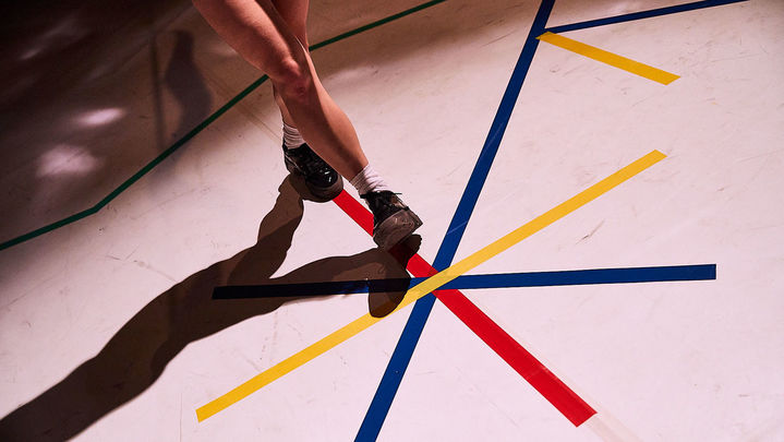 Bailar o lo salvaje / COMUNIDAD DE MADRID