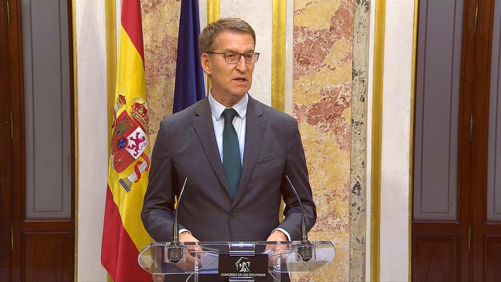 Alberto Núñez Feijóo / TELEMADRID