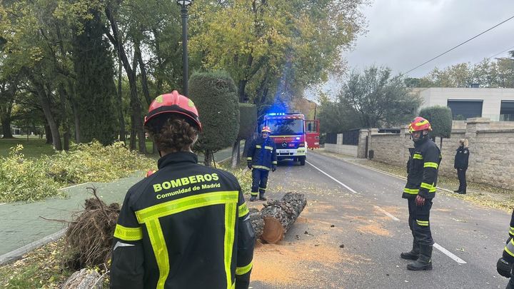 Bomberos de la Comunidad de Madrid / COMUNIDAD DE MADRID