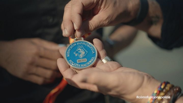 Medalla / TeleMadrid