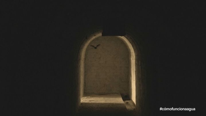 Murciélagos / TeleMadrid