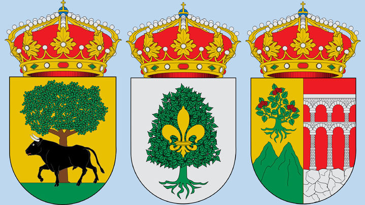 Escudo de Buitrago de Lozoya, Olmeda de las Fuentes y Zarzalejo / TELEMADRID