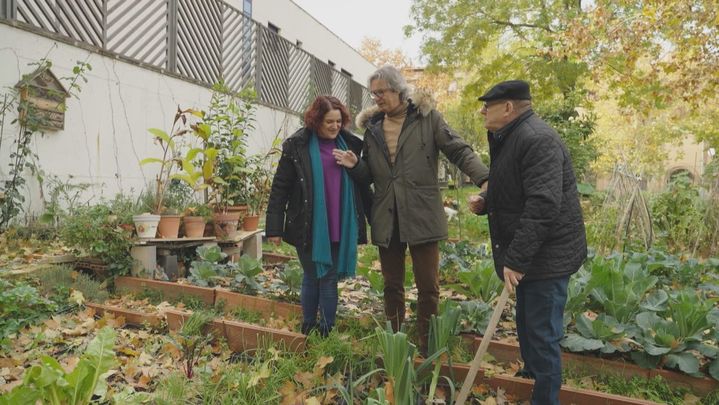 Huerto vecinal de Carabanchel / TELEMADRID