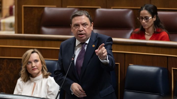 El ministro de Agricultura, Pesca y Alimentación, Luis Planas / EUROPA PRESS