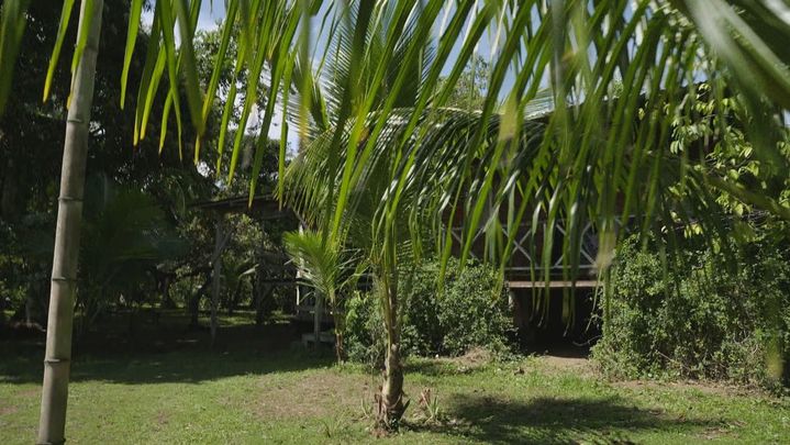 Punta Mona / Redacción