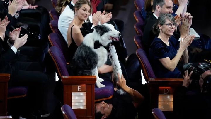 Messi en los Oscar (el perro de 'Anatomía de una caída') / EFE