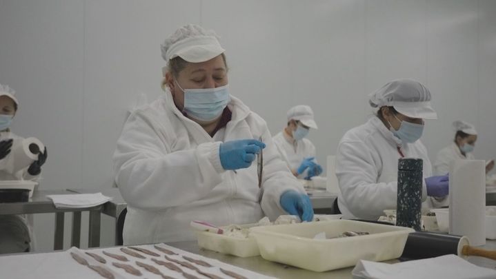 Proceso de limpiado de la anchoa / Telemadrid