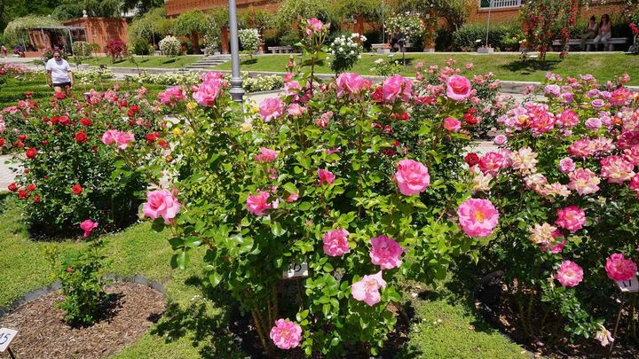 El Concurso Popular celebra su edición número 24 / AYTO. MADRID