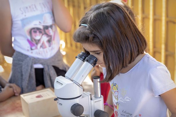 Análisis de los restos obtenidos en el yacimiento arqueológico / COMUNIDAD DE MADRID