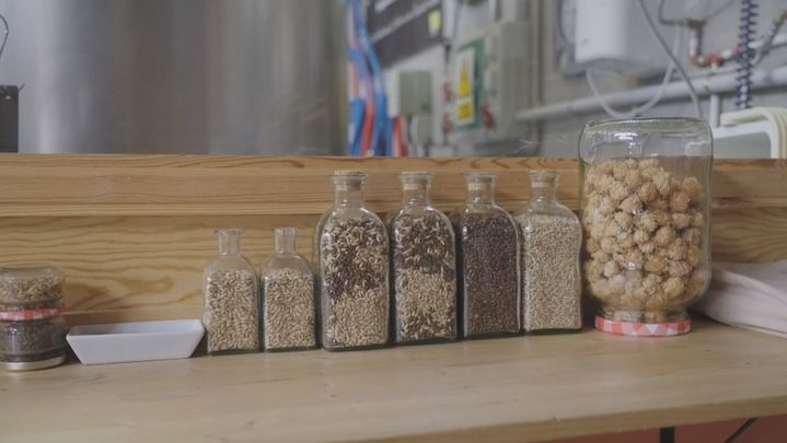 Ingredientes para elaborar la cerveza / Telemadrid