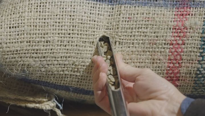 Granos de café crudos / Telemadrid