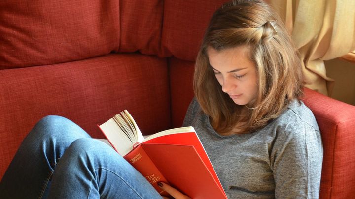 El mundo literario se ha transformado en los últimos tiempos / DOMINIO PÚBLICO