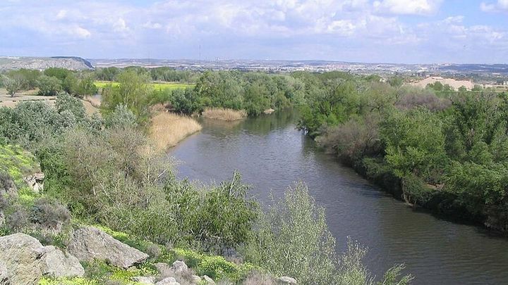 Desembocadura del Manzanars en el Jarama / MIGUEL303XM / WIKIPEDIA