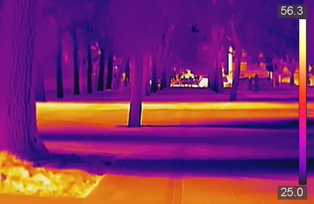 Diferencias de temperatura en la zona arbolada de la plaza de Los Pinazo, en Villaverde / FRAVM