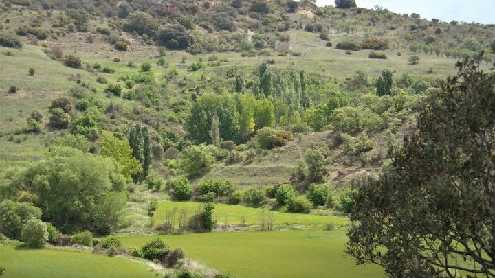Senda de Valmores, arroyo de la Vega / Ayuntamiento de Nuevo Baztán