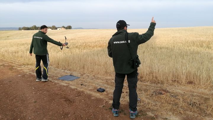 Equipo de SEO/Birdlife preparando un vuelo de drones / SEO/Birdlife