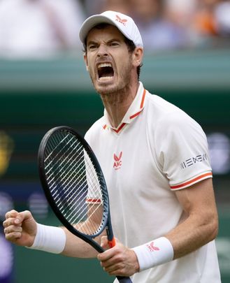 Andy Murray / olympics