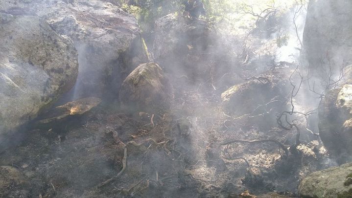 Zona afectada por un rayo durmiente en un pinar de Rascafría / 112CMADRID