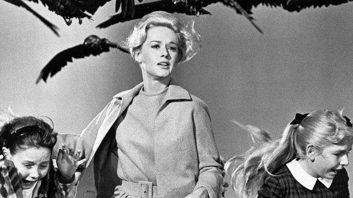 Fotograma de 'Los Pájaros' / UNIVERSAL PICTURES