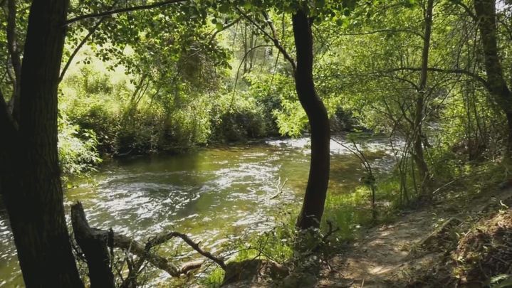 Ruta del Pontón de la Oliva / REDACCION