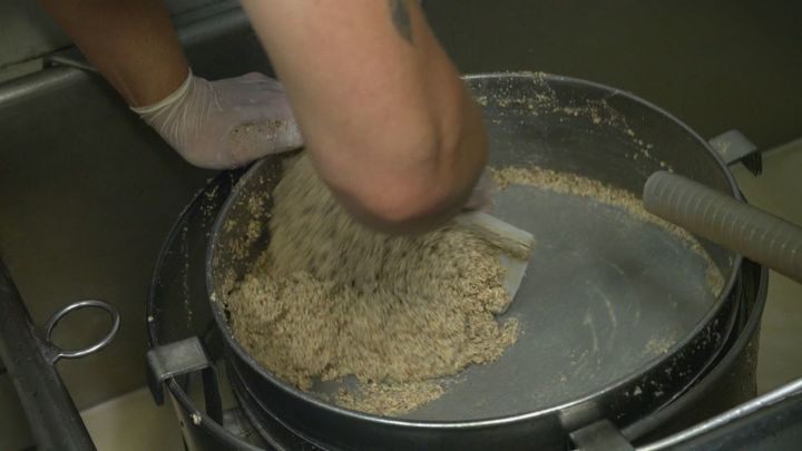 Tamización a mano / REDACCION