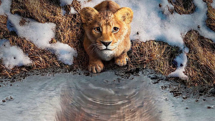 ‘Mufasa: el rey león’ / ARCHIVO