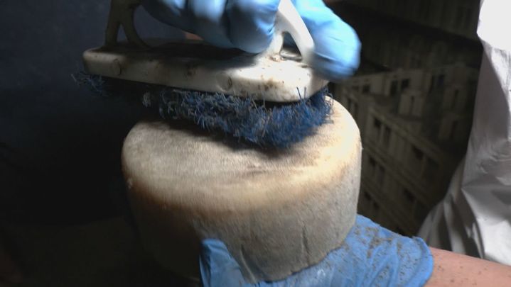 Son cepillados / REDACCION