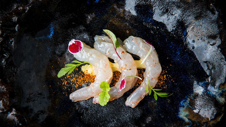 Yugo The Bunnker / yugothebunker.com